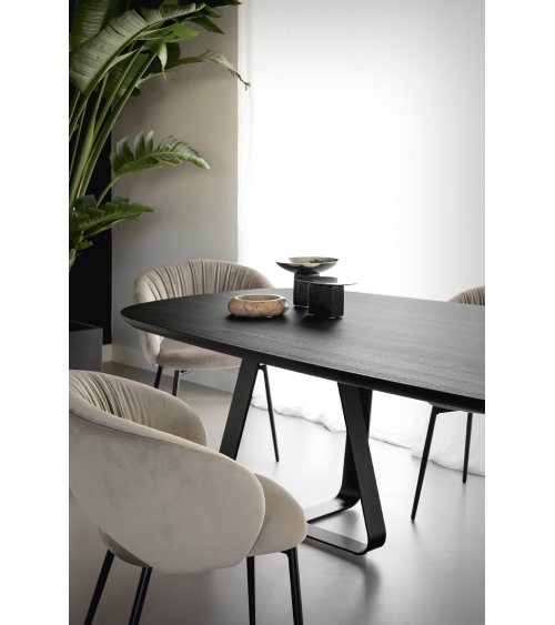 2 - Calligaris - Chaise - Anime
