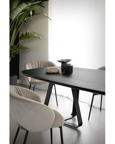 2 - Calligaris - Chaise - Anime