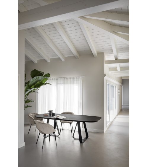 5 - Calligaris - Chaise - Anime