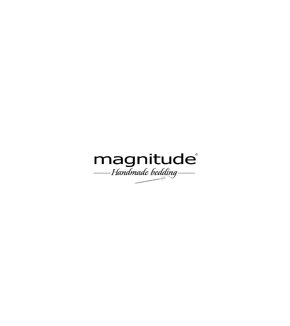 Magnitude
